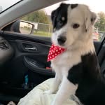 Ron Geddes - @godannor - Instagram