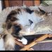 Ron Geddes - Facebook