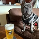 Ron Getz - @rongetz73 - Instagram