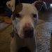 Ron Gilchrist - Facebook