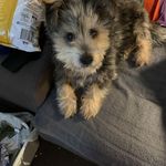 Ron Gilchrist - @ron.gilchrist.69 - Instagram