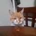 Ronald Gilliland - Facebook