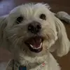 Ronnie Gilson - @ron.gilson - TikTok