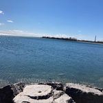 @roni_goldfarb - Instagram