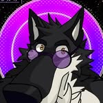 Ronny 💜\🐺/💜 - @ronn.6965.goncalves - Instagram