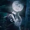 Ron Graham - @ron.graham30 - TikTok