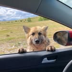 Ron Gray - @rongray99999 - Instagram