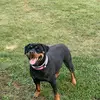 rongray862 - @rongray862 - TikTok