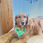 Ron Greer - @rgreer1959 - Instagram