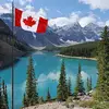 Ron Groves 🇨🇦🍁 - @ron.groves5 - TikTok