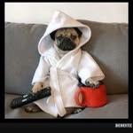 Ron Grübe - @derl_o_n - Instagram