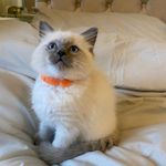 Ronee - @hackney_roni - Instagram