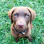 Haggy - @merleronaldhaggardjr - Instagram