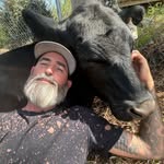 Ron Hall - @gixxer721 - Instagram