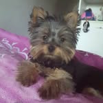 Ron Haller - @ron.haller.509 - Instagram