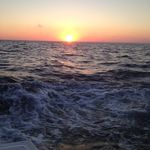 Ron Hamel - @rharveyhamel - Instagram