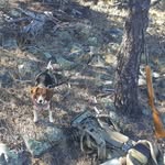 Ron haney - @ibowhuntaz - Instagram