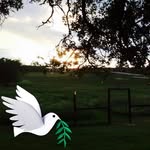 Ron Harrington - @ronharrington252 - Instagram