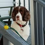 Ron Harrington - @ronharrington4 - Instagram