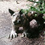 Ron Hartley - @ronhartley - Instagram