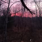 Ron Hartwell - Facebook