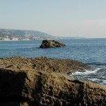 Ron Hawkster - @ronhawkster - Instagram