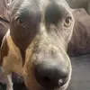Cameron Heinz - @cameronheinz0 - TikTok