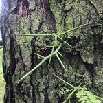 Ron Henderson - @ron_henderson_landscape - Instagram