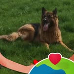 Ron Hendriks - @ronhendriks1963 - Instagram