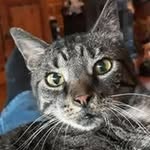 Ron Hendriks - @hendriks5174 - Instagram