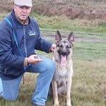 Ron Hendriks - @hendriks.ron - Instagram