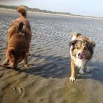 Ron Dewi Moors Hendrix - @ronendewi - Instagram
