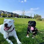 Ron Hickman - @ron.hickman.984 - Instagram