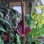 Ron Hilbert - @ron.hilbert - Instagram