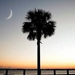 Ron Hinson - @ron.hinson.9 - Instagram