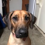 John Ronald Hix - @ronhix64 - Instagram