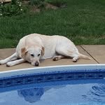 Ron Hix - @hixy1964 - Instagram