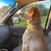 Ronald Heidahl - Facebook