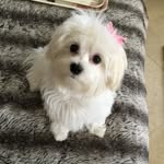 Ron Hoffmann - @ron_hoffmann1 - Instagram
