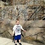 Ron Holm - @holmron - Instagram