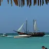 Ron Holmes - @ron.holmes15 - TikTok