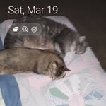 Ron Holst - @ron.holst.77985 - Instagram