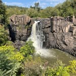 Ron Holtzman - @ron.holtzman.560 - Instagram
