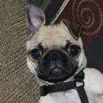 Ron Hooper - @ronhooper30 - Instagram