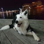 Ron Humphrey - @humphreyron - Instagram