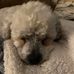 Ron Ingle - Facebook