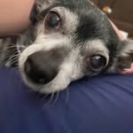 Ron Ingram - @ron.ingram.543 - Instagram