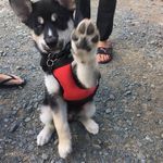 Ron Jamieson - @ron.jamieson.92 - Instagram