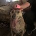 Ron Jarvis - Facebook