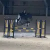 don’t spam likes ⁉️ - @ron_showjumping - TikTok